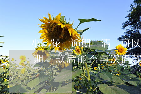 小鵝花錢逾期還清還可以再借嗎，小鵝花錢逾期還款后，能否再次借款？